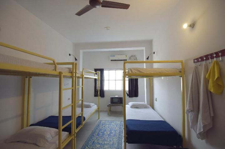 Eco Family Hostel Džajpur Exteriér fotografie